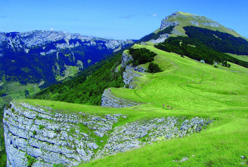 Roulottes Au Pied Du Vercors Сен-Жан-ан-Руаян Экстерьер фото